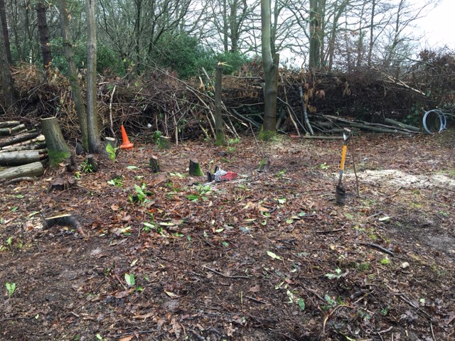Getting ready for the Polytunnel