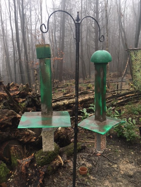 Nest box building and finishing the feeders