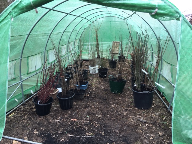 The planting has begun.