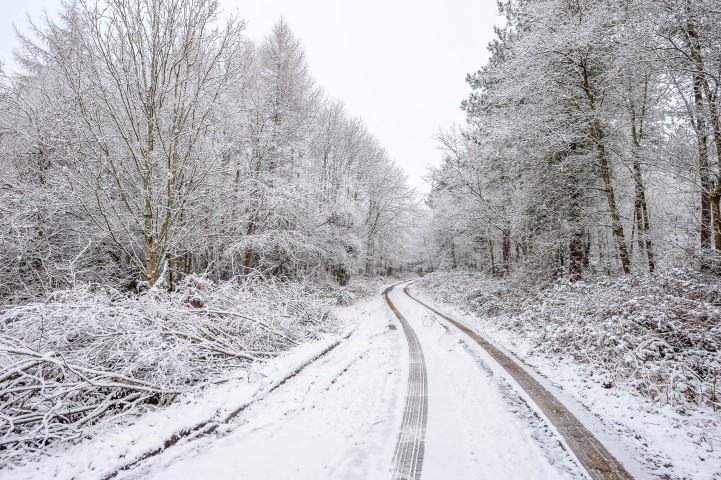 Where did all the snow come from ?
