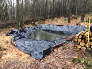 Pond 2.1.16