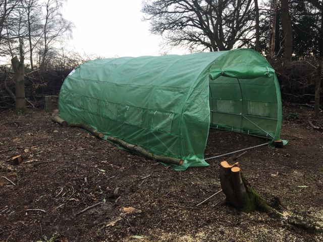 I have a poly tunnel