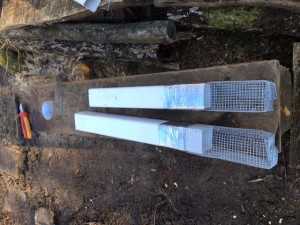 new feeders (1)