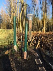 New feeders