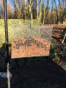 new feeders (4)