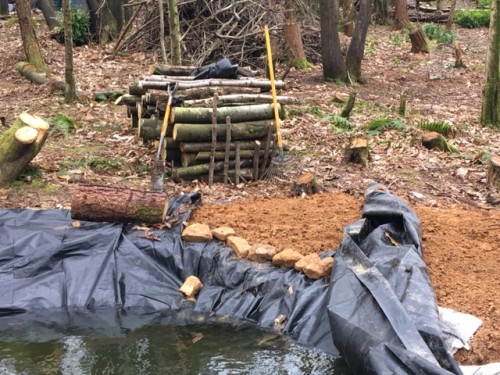 Finished pond 6.2.16