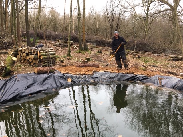 Landscaping the pond