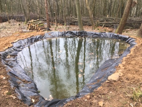 Finished pond 6.2.16