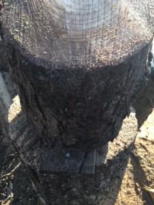 Screwed to large log to stop movement whilst cutting.