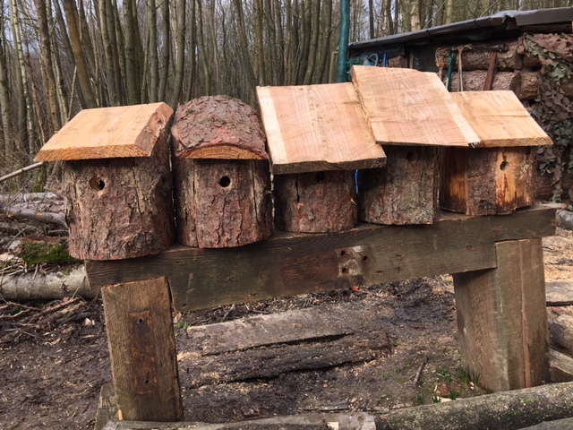 NEST BOX BUILDING