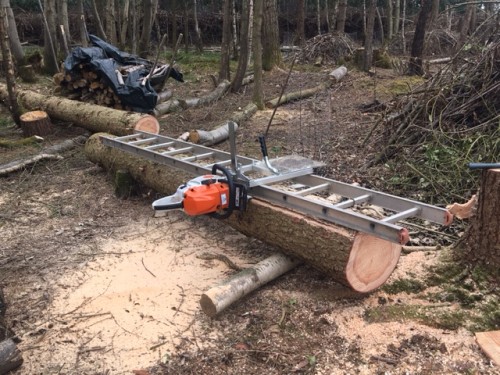 PLANKS READY FOR TABLES