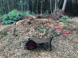 WOOD CHIP , ONE OF 3 LOADS