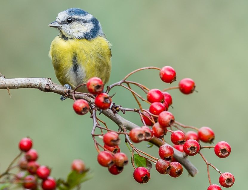 Signs of Autumn