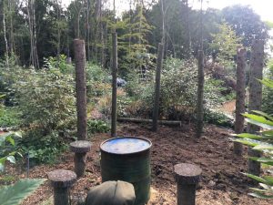 POSTS IN