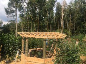 Roof struts finished and ready for tarpaulin roof sheet, used tarp so to allow light in.