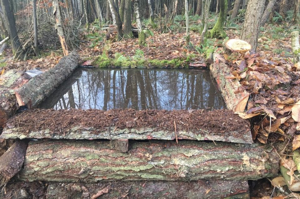 NEW WATER FEATURE
