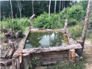 Pool extention
