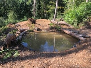 Pond lanscaped